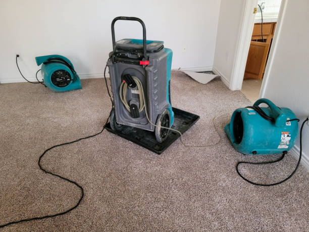 Best Flood damage cleanup  in Woodfield, SC
