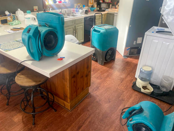 Best Sewage cleanup and water damage restoration  in Woodfield, SC