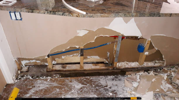 Best Flood damage cleanup  in Woodfield, SC