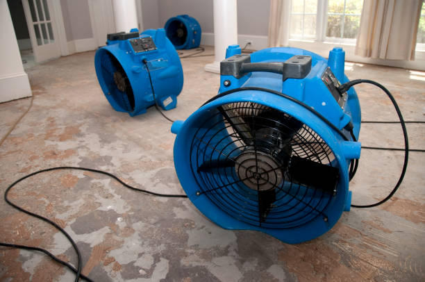 Best Water damage cleanup near me  in Woodfield, SC