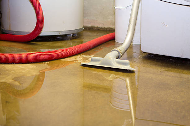 Best Commercial water damage restoration  in Woodfield, SC