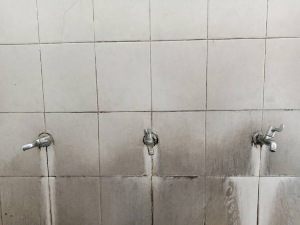 Best Mold removal after water damage  in Woodfield, SC