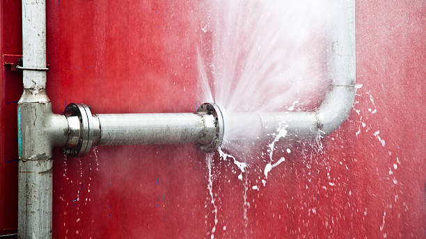 Best Mold removal after water damage  in Woodfield, SC